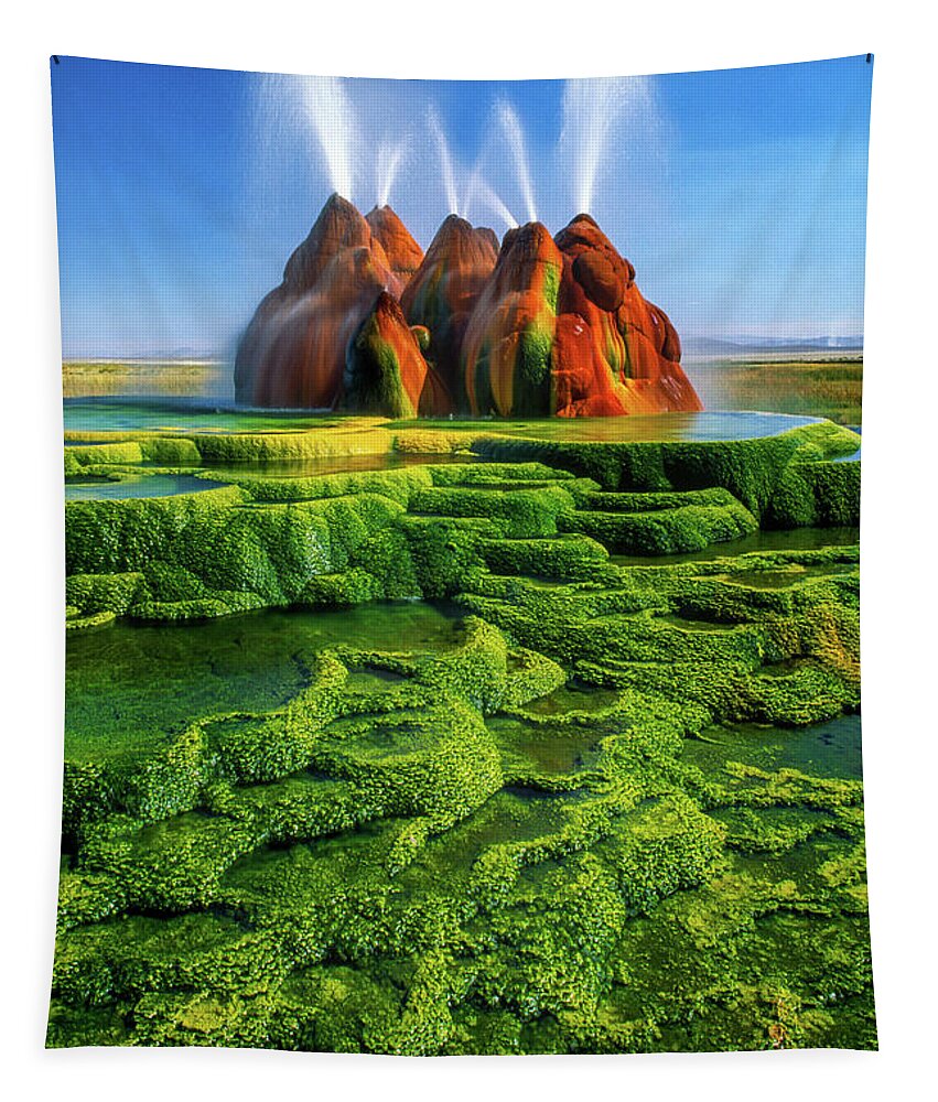America Tapestry featuring the photograph Green Fly Geyser by Inge Johnsson