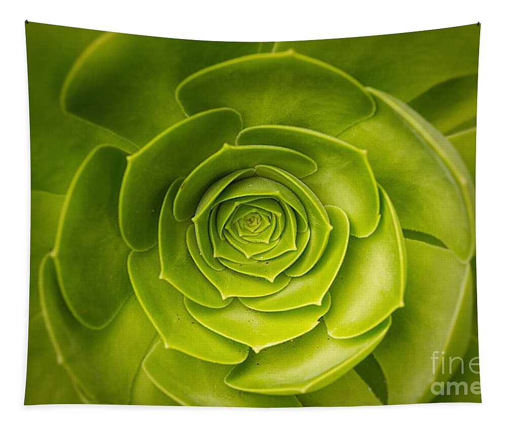 Green Tapestry featuring the photograph Green Geometry by Ana V Ramirez