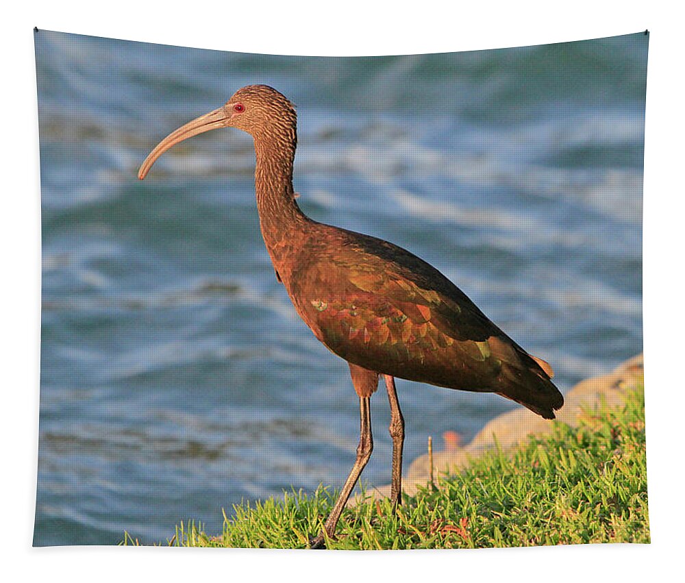 Ibis Tapestry featuring the photograph Green Ibis 4 by Shoal Hollingsworth