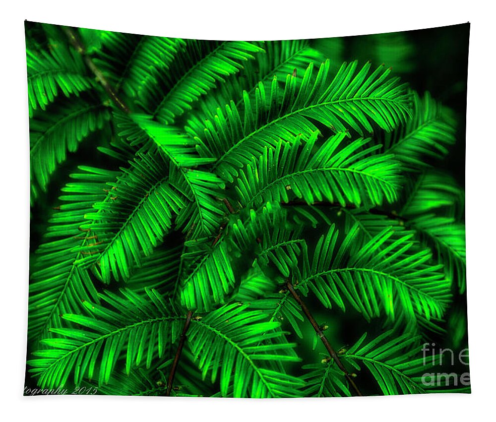 Leaves Tapestry featuring the photograph Green Leaves by Linda Blair
