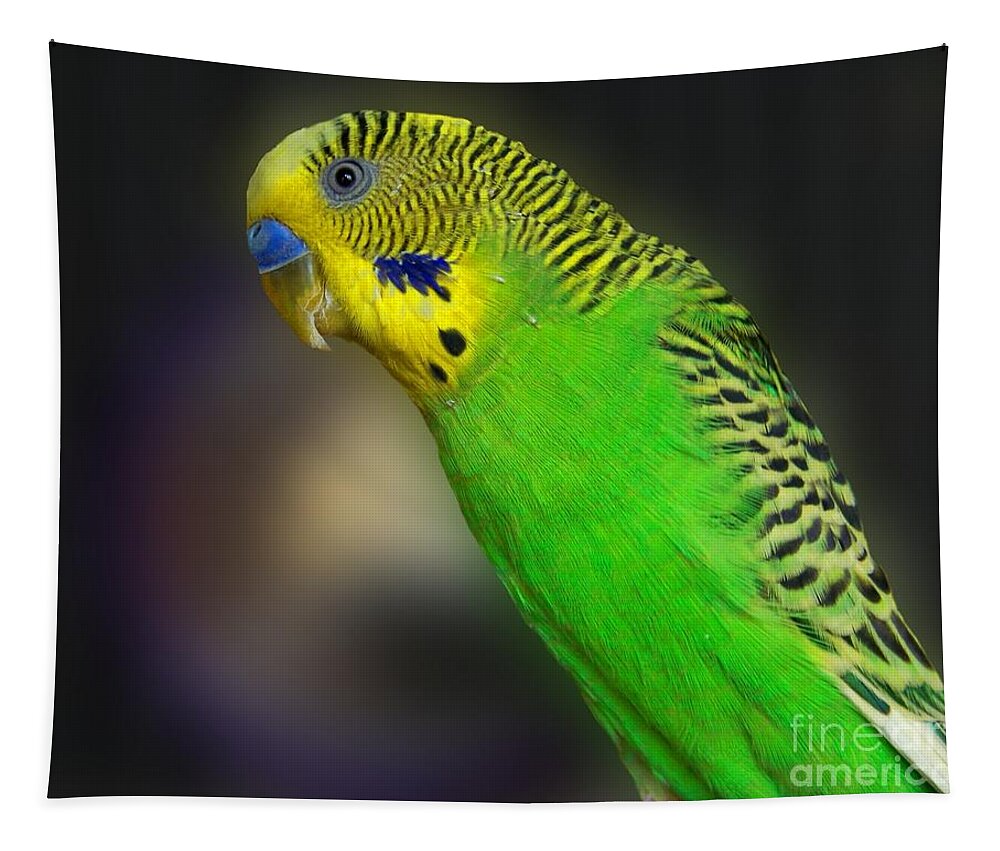 Bird Tapestry featuring the photograph Green Parakeet Portrait by Jai Johnson