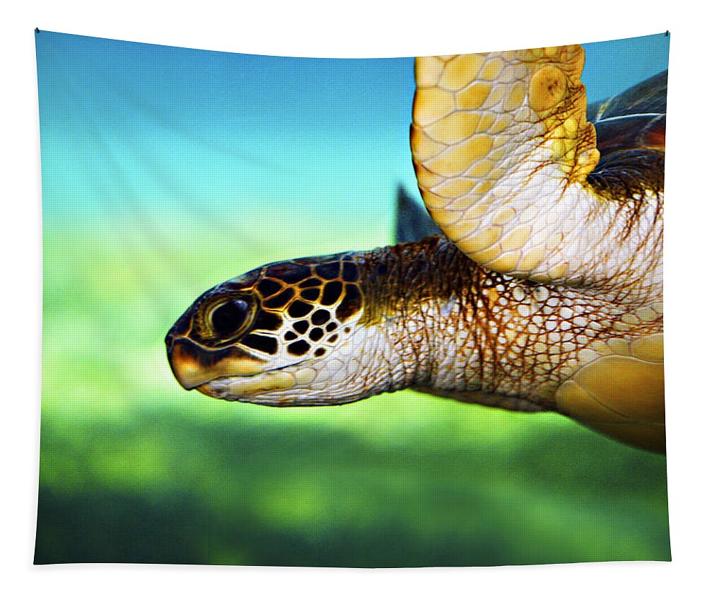 Green Tapestry featuring the photograph Green Sea Turtle by Marilyn Hunt