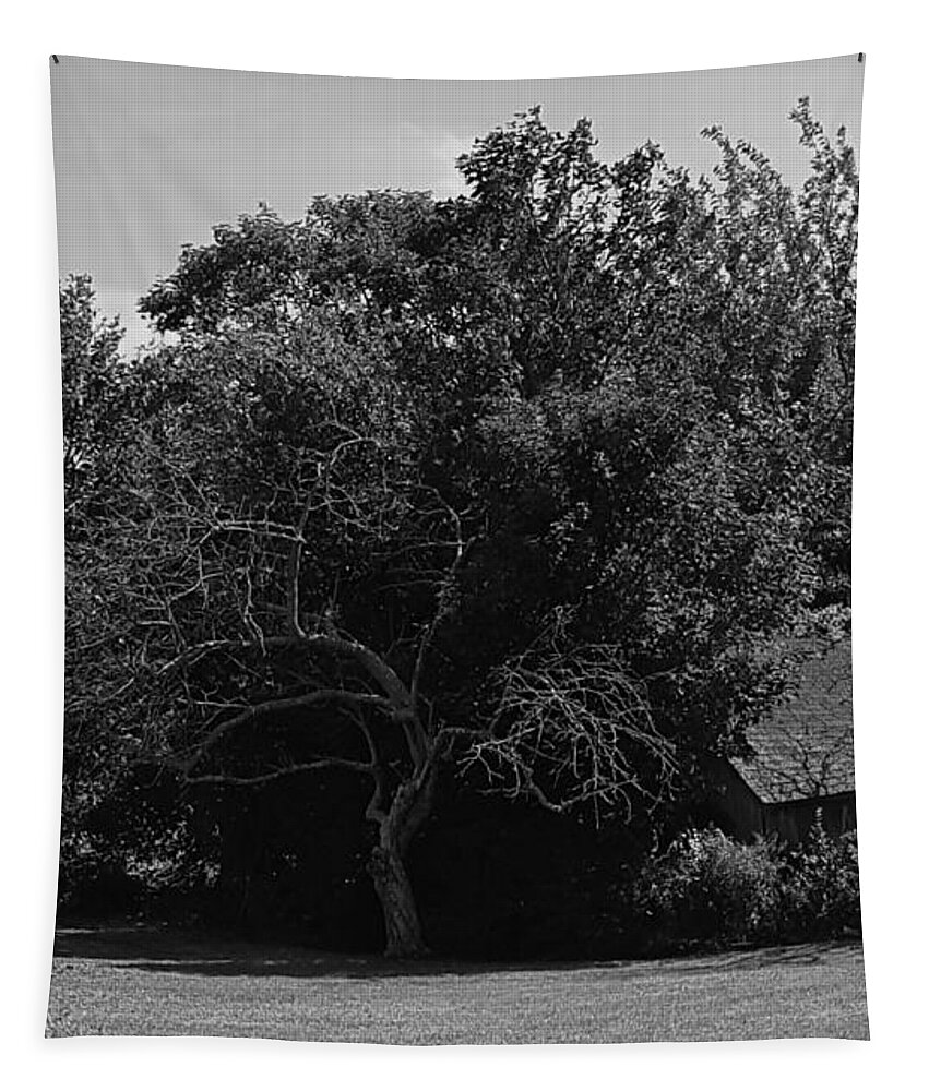 Meadows Tapestry featuring the photograph Greenport B W 2 by Rob Hans