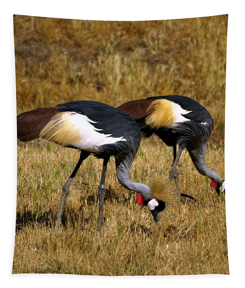 Animal Tapestry featuring the photograph Grey Crowned Crane by Richard Thomas