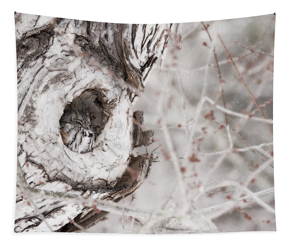 Grey Morph Eastern Screech Owl As An Oil Painting Tapestry featuring the photograph Grey Morph Eastern Screech Owl as an Oil Painting by Tracy Winter