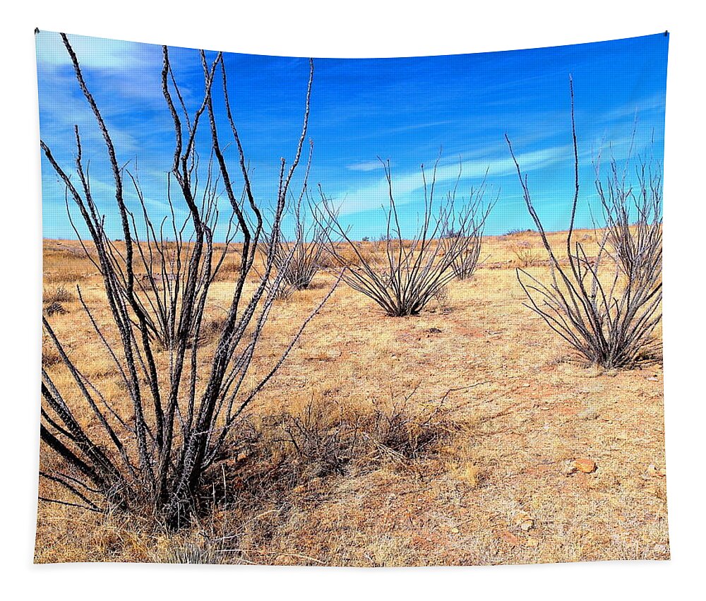 Desert Tapestry featuring the photograph Ground Level - New Mexico by Christopher Brown