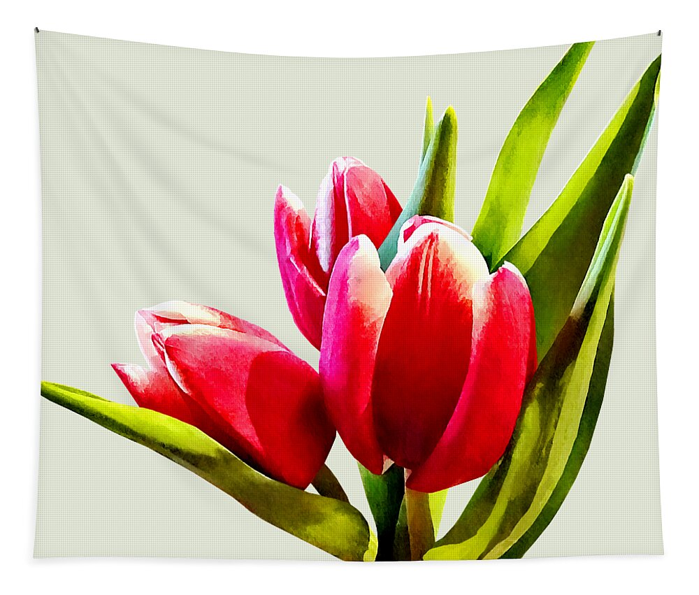 Tulip Tapestry featuring the photograph Group of Red Tulips by Susan Savad