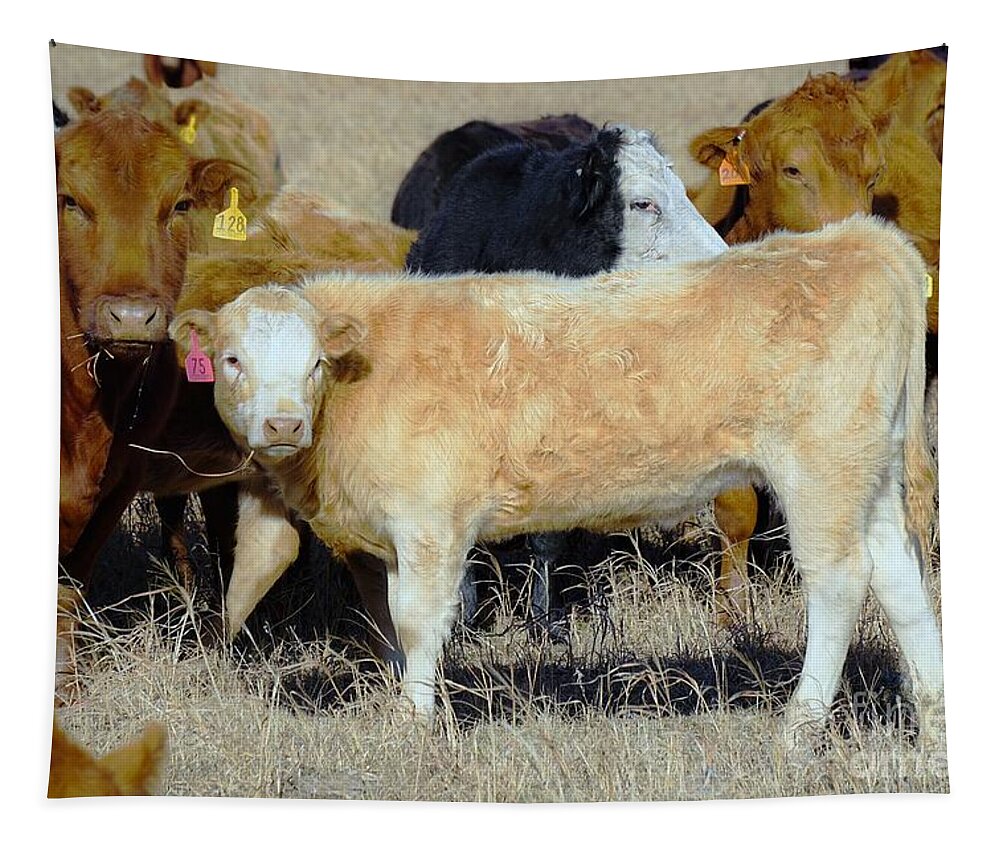 Calf Tapestry featuring the photograph Growing up by Merle Grenz