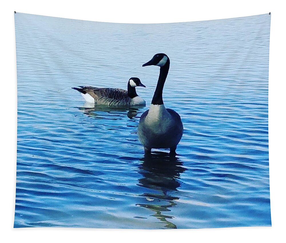 Geese Tapestry featuring the photograph Guarding Geese by Vic Ritchey