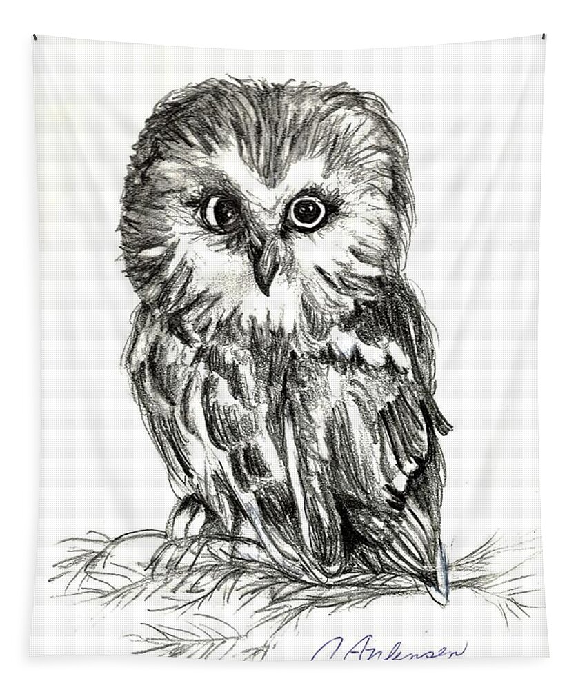 Owl Tapestry featuring the drawing Guess Whoooo by Carol Allen Anfinsen