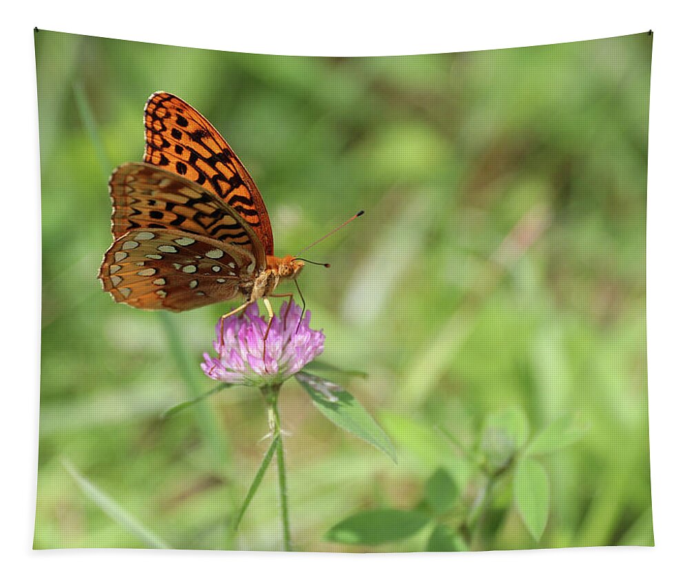 Gulf Fritillary Tapestry featuring the photograph Gulf Fritillary And Clover by Carol Montoya