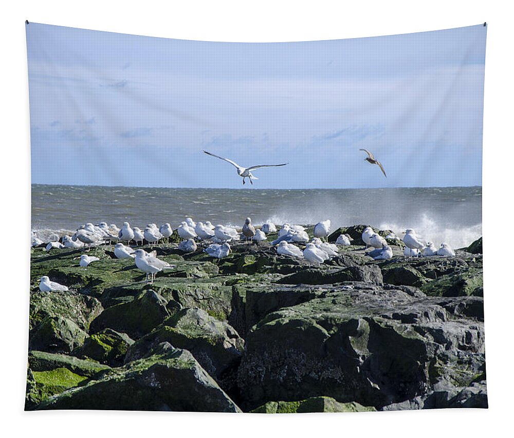 Birds Tapestry featuring the photograph Gulls on Rock Jetty by Maureen E Ritter