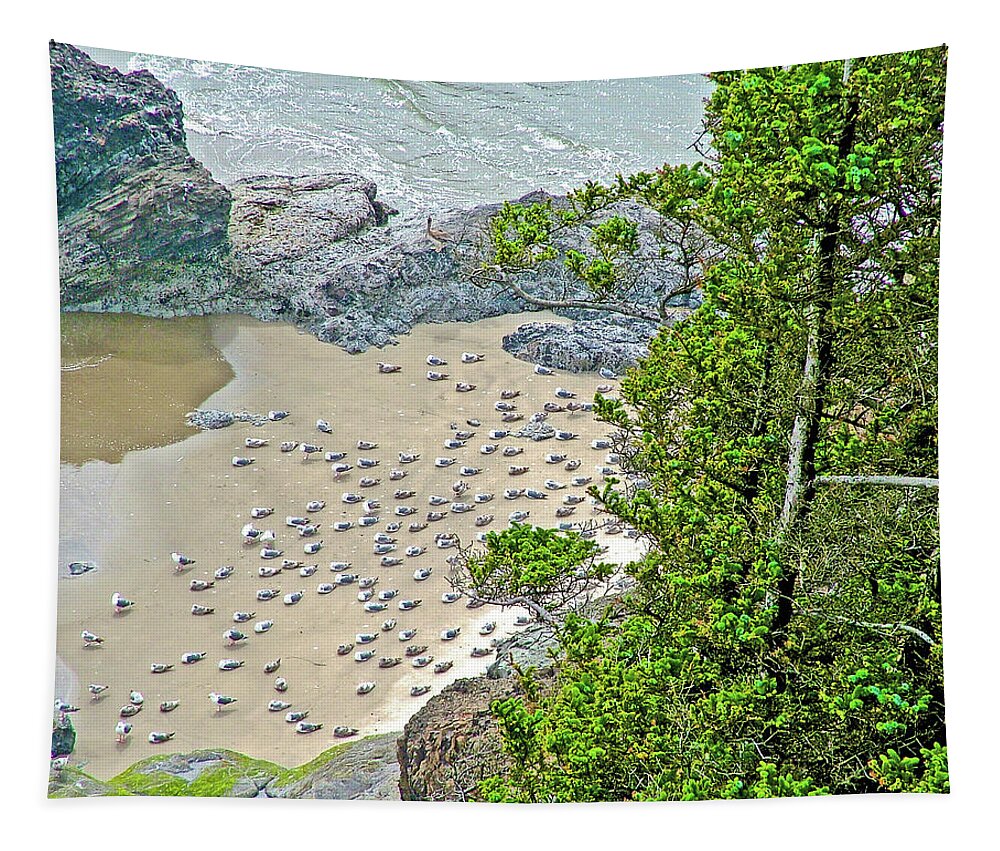 Gulls On The Sand Below In Ecola State Park Tapestry featuring the photograph Gulls on the Sand Below in Ecola State Park, Oregon by Ruth Hager