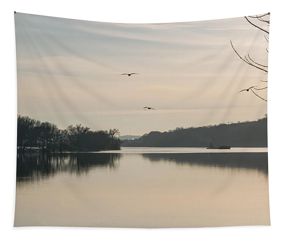 Gulls Tapestry featuring the photograph Gulls Over the Ohio by Holden The Moment