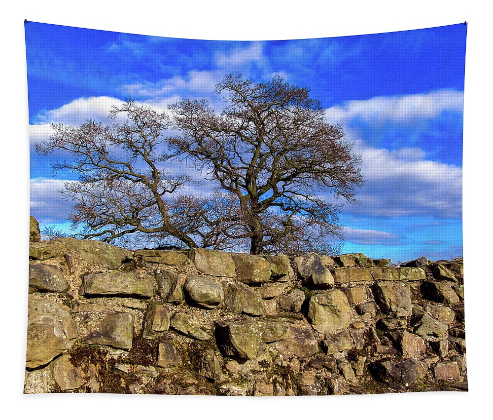 England Tapestry featuring the photograph Hadrians Tree by Tim Dussault