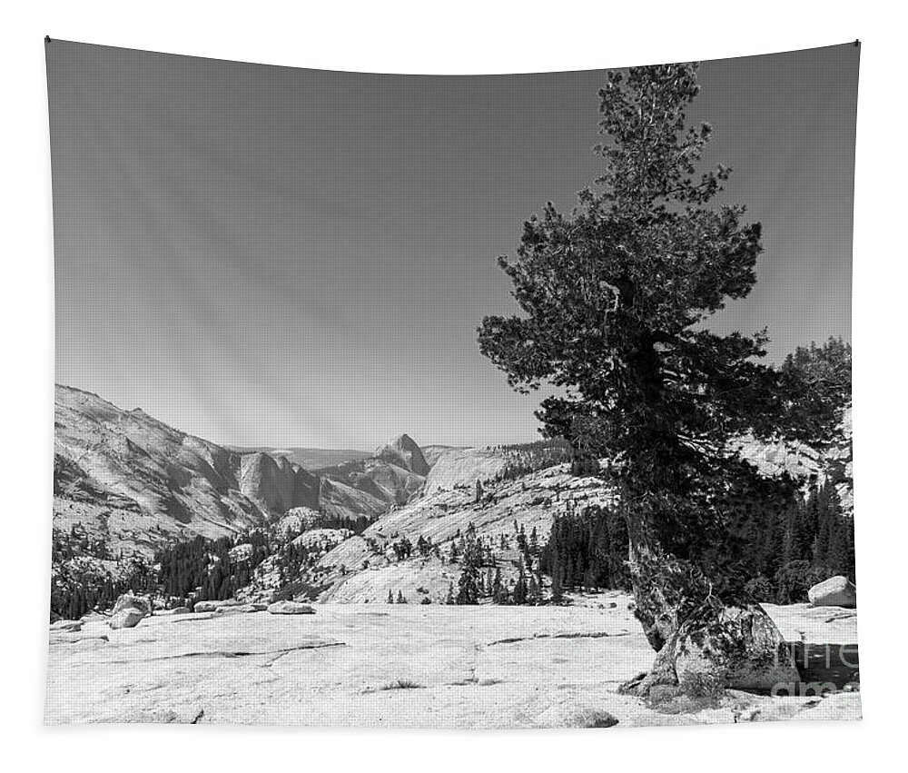 Wingsdomain Tapestry featuring the photograph Half Dome and Yosemite Valley From Olmsted Point Tioga Pass Yosemite California dsc04274bw by Wingsdomain Art and Photography