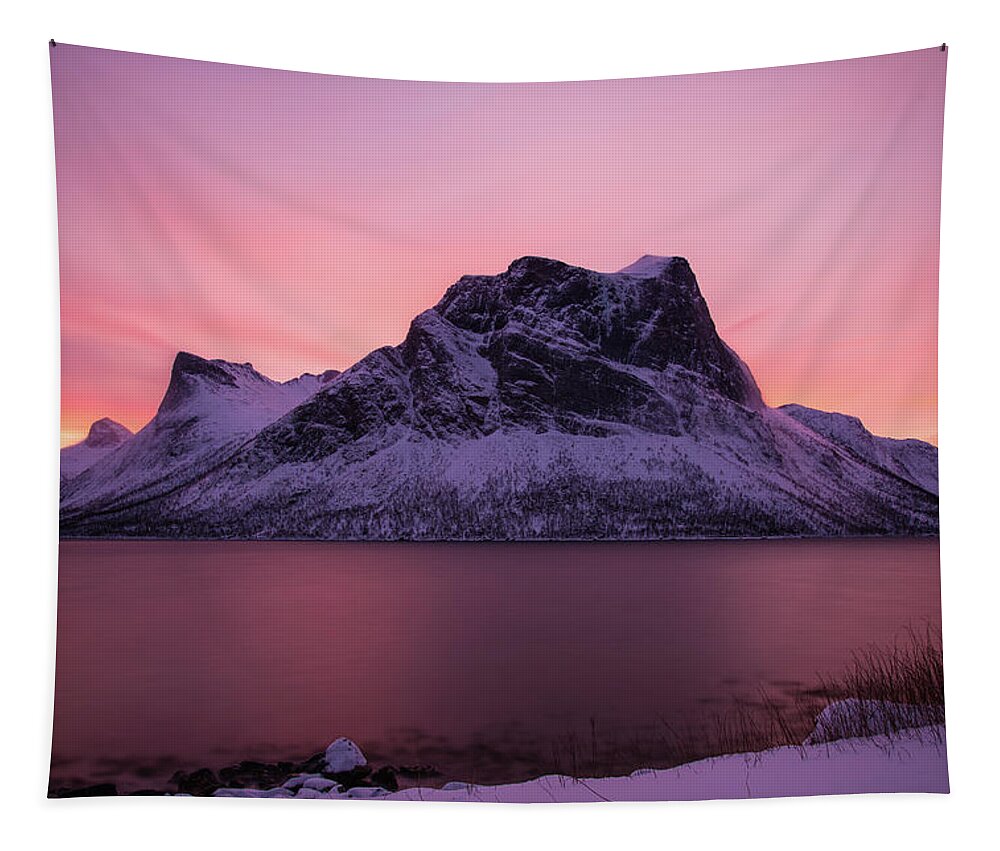 Norway Tapestry featuring the photograph Halo in Pink by Alex Lapidus
