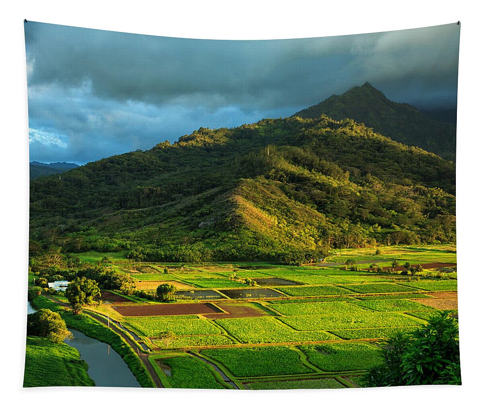 Landscape Tapestry featuring the photograph Hanalei Valley Taro Fields by James Eddy