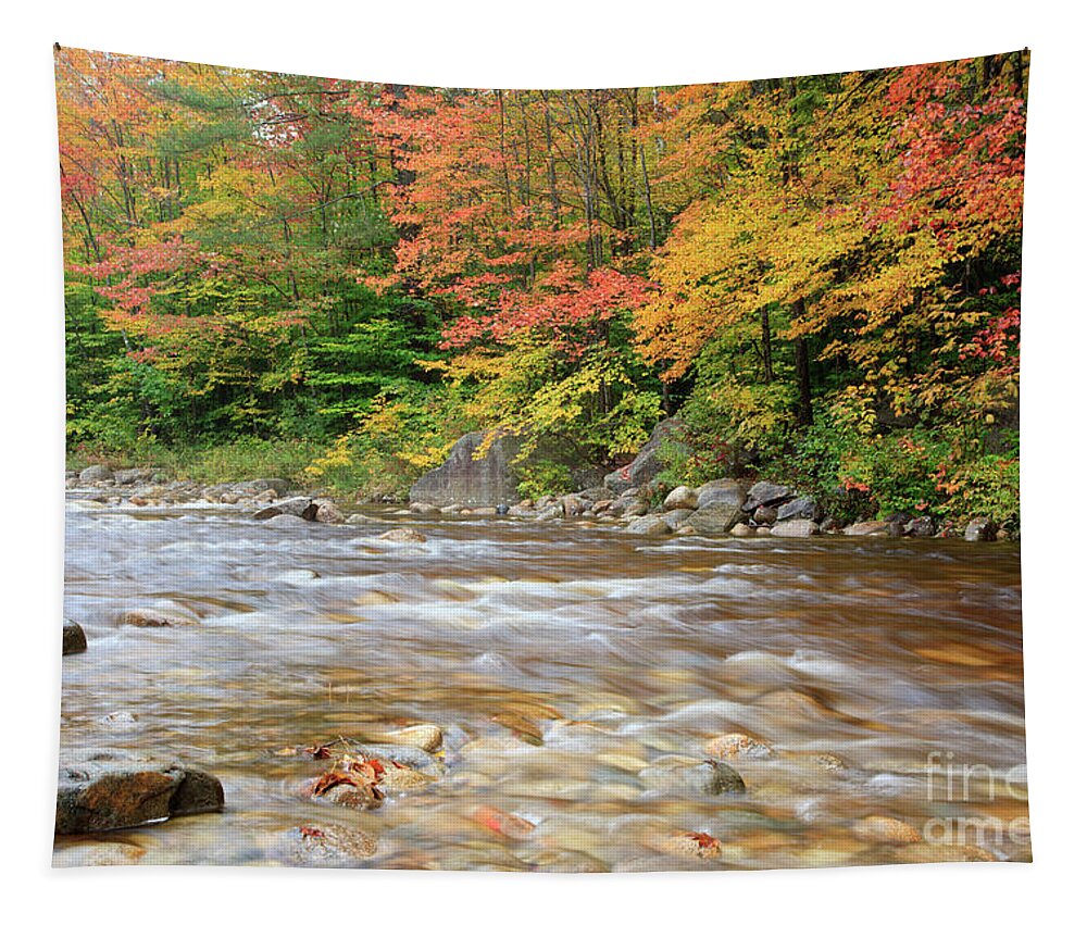 White Mountain National Forest Tapestry featuring the photograph Hancock Branch - White Mountains New Hampshire by Erin Paul Donovan