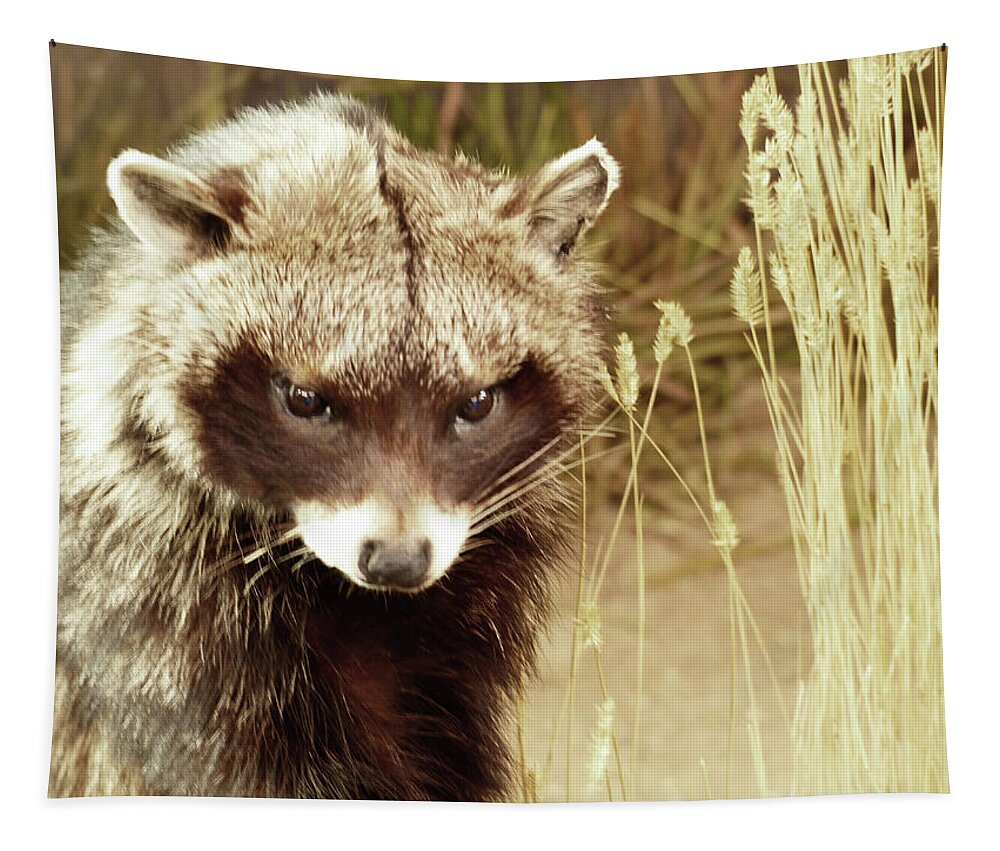 Wildlife Tapestry featuring the photograph Handsome Dude with Attitude by Marcia Socolik