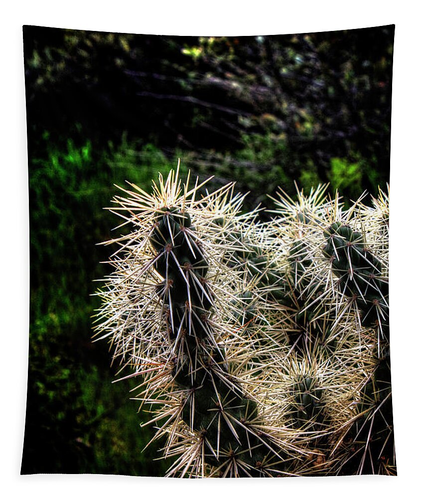 Arizona Tapestry featuring the photograph Hanging Fruit Cholla Detail by Roger Passman