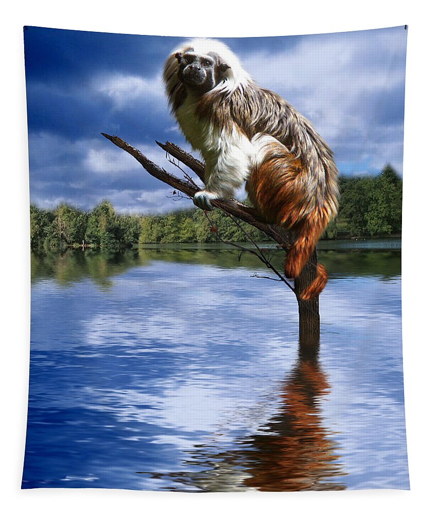 Tamarin Tapestry featuring the photograph Hanging On by Gravityx9  Designs