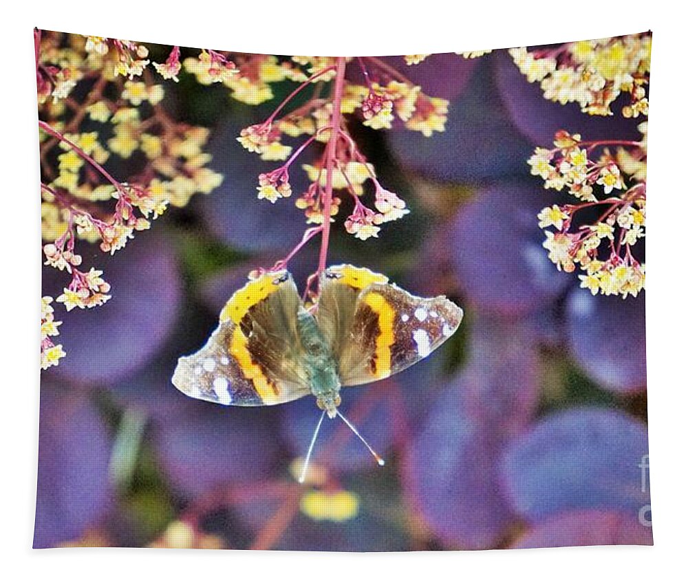 Butterfly Tapestry featuring the photograph Hanging out Wichita by Merle Grenz