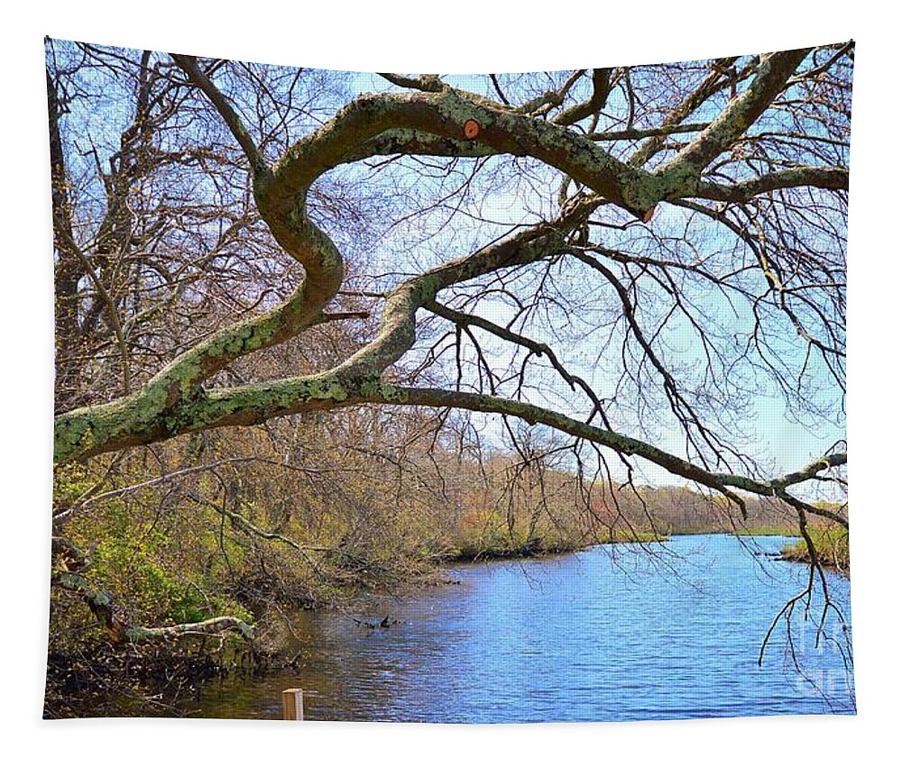 Nature Tapestry featuring the photograph Old OakTree over River by Stacie Siemsen