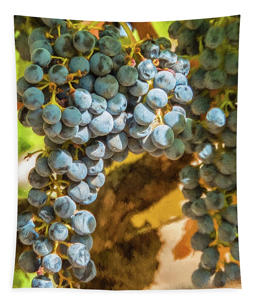 California Tapestry featuring the photograph Hanging Wine by David Letts