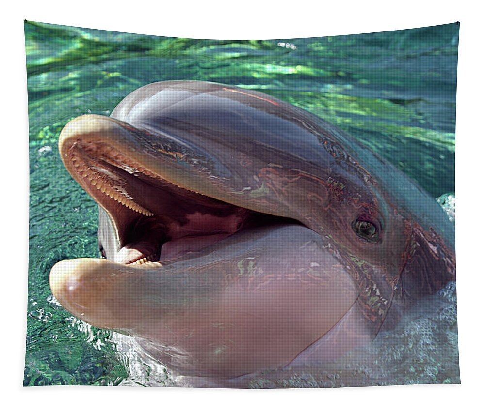 Dolphin Tapestry featuring the photograph Happy Dolphin - Big Smile by Mitch Spence