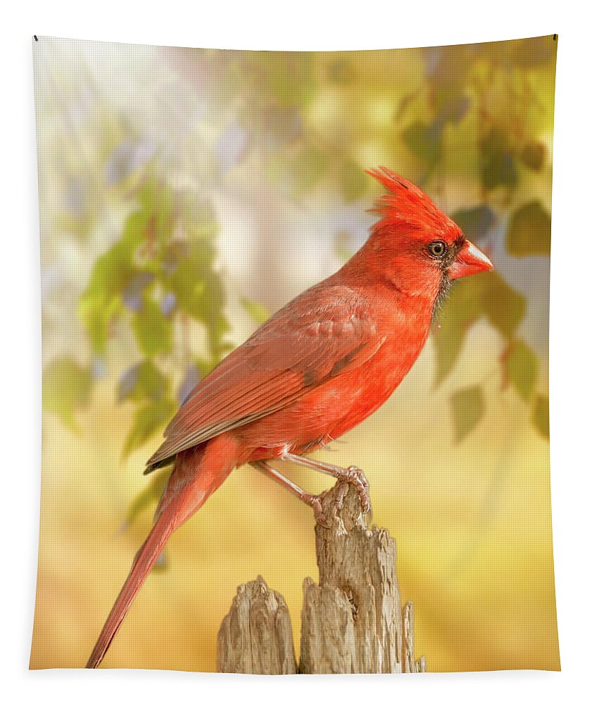 Bird Tapestry featuring the photograph Happy Morning Redbird by Bill and Linda Tiepelman