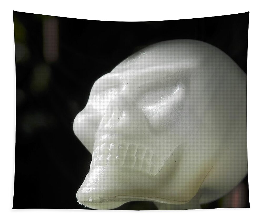 #skull #glowing #skeleton #halloween #hanging #lonely #cypressmyrtletree Tapestry featuring the photograph Happy Skeloween by Belinda Lee