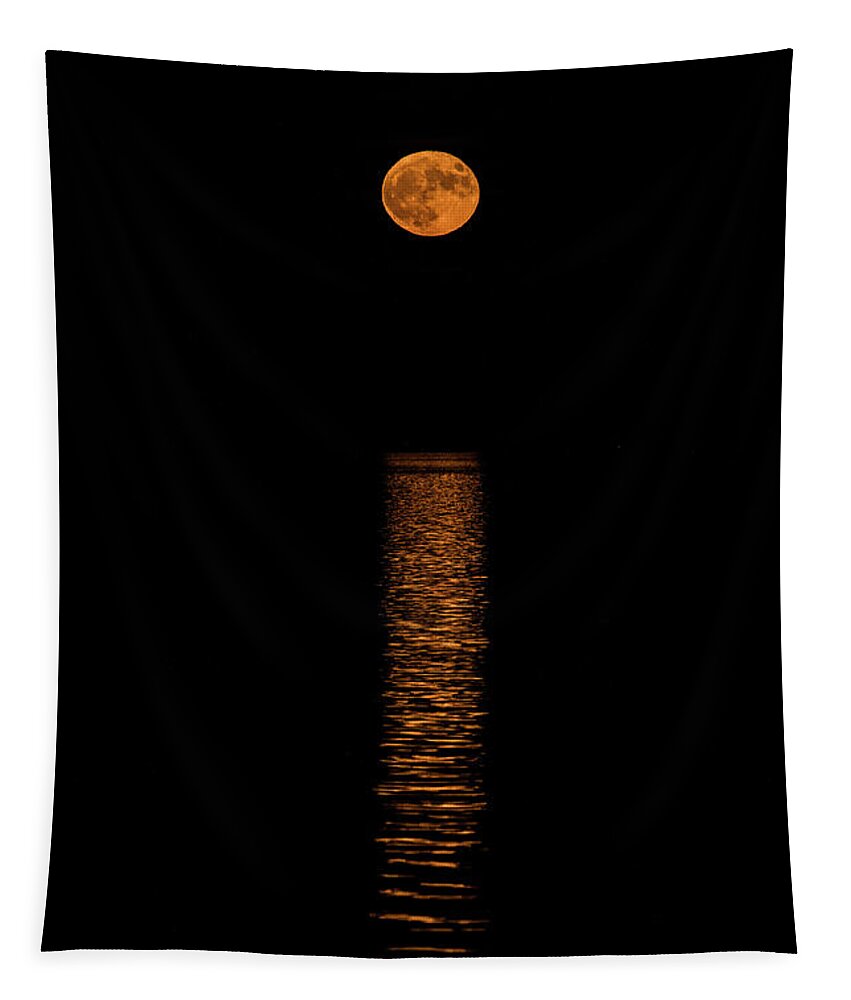 Moon Tapestry featuring the photograph Harvest Moonrise by Paul Freidlund