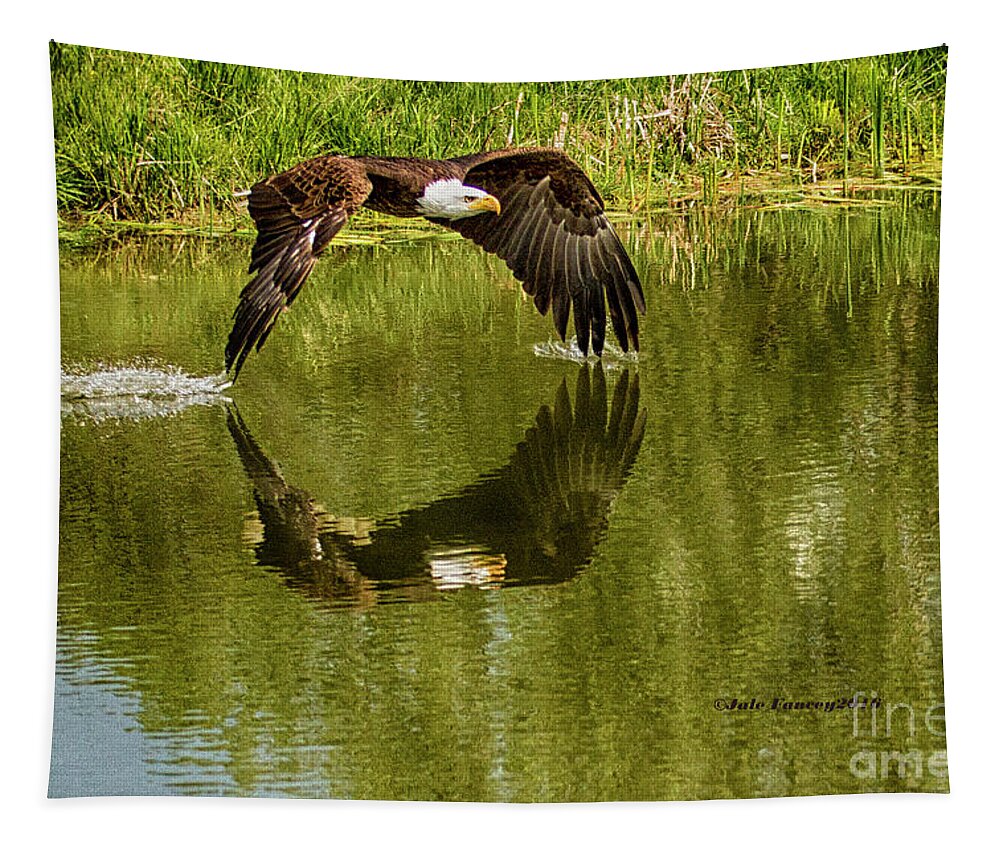Bald Eagle Tapestry featuring the photograph Having a Dip by Jale Fancey