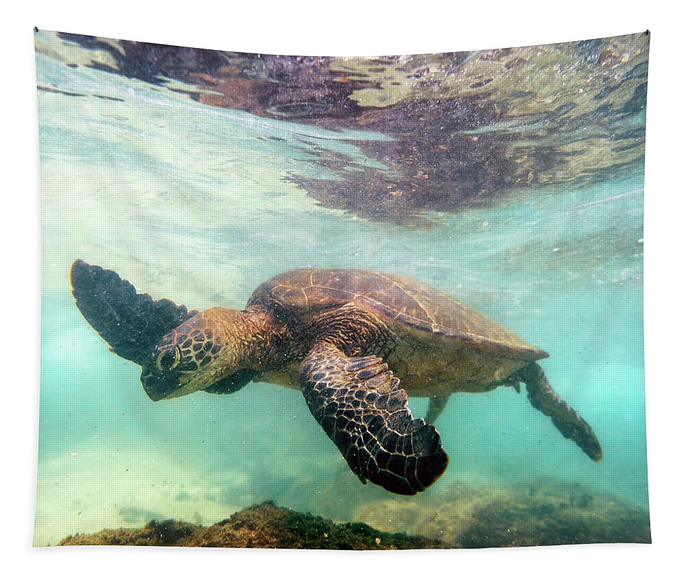 #faatoppicks Tapestry featuring the photograph Hawaiian Green Sea Turtle by Christopher Johnson