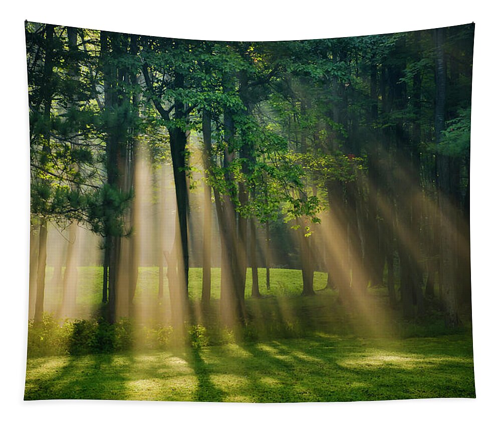 Sunrise Tapestry featuring the photograph Heavenly Light Sunrise by Christina Rollo