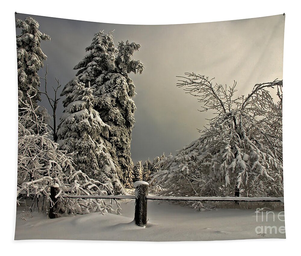 Snow Tapestry featuring the photograph Heavy Laden by Lois Bryan