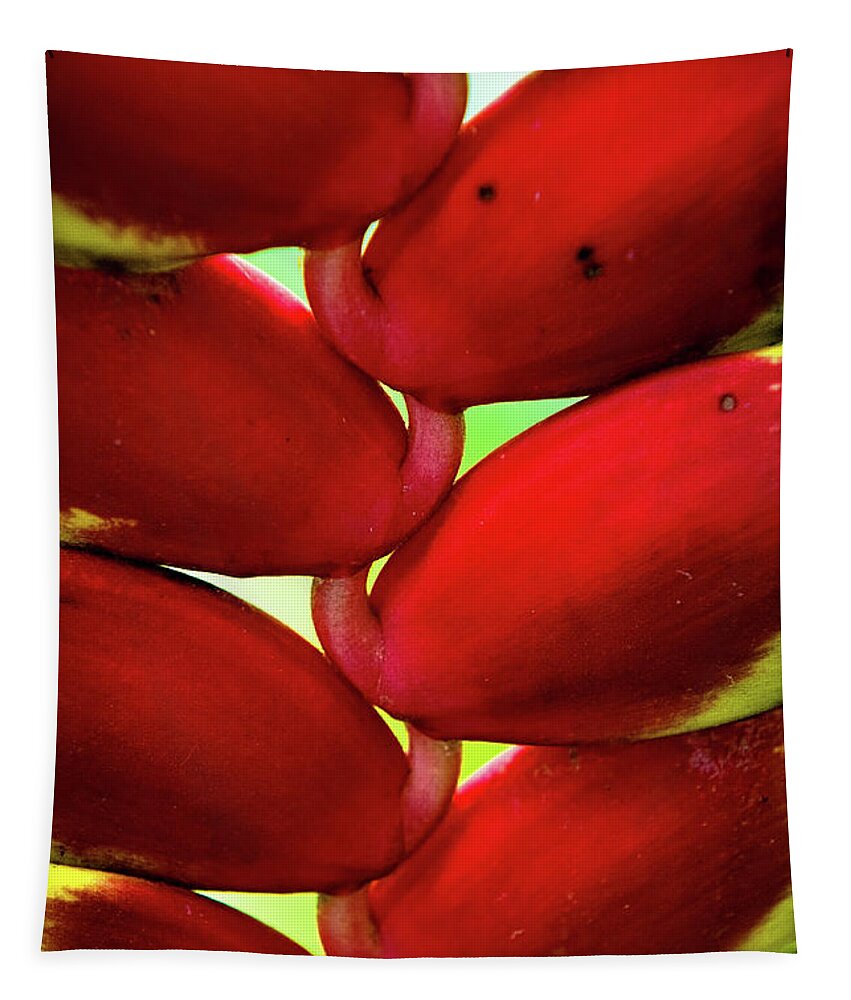 Plant Tapestry featuring the photograph Heliconia Detail by Christopher Holmes
