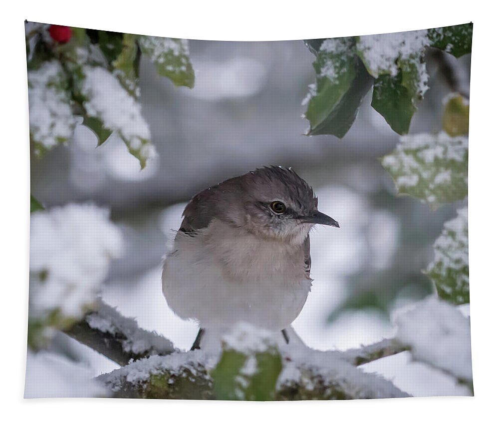 Terry D Photography Tapestry featuring the photograph Hello Spring? Mockingbird Square by Terry DeLuco
