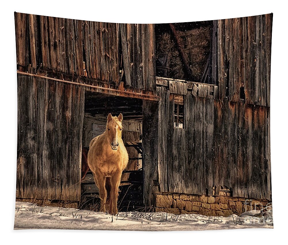 Horse Tapestry featuring the photograph Hello Sweetheart by Lois Bryan