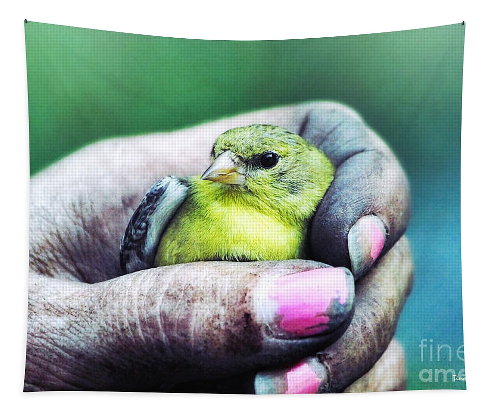 Goldfinch Tapestry featuring the photograph Helping Hand by Tina LeCour