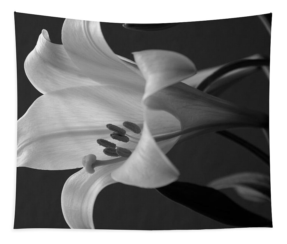 Black And White Tapestry featuring the photograph Her Name was Lily by Colleen Cornelius