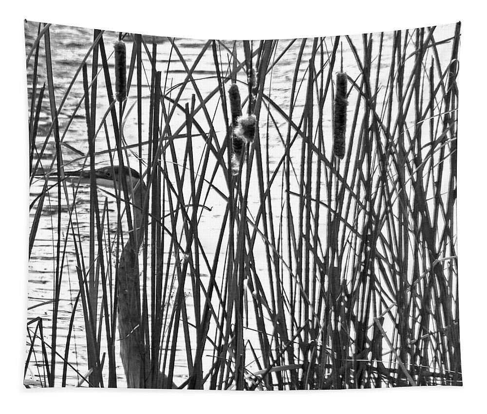 Blue Heron Tapestry featuring the photograph Heron in the Grass in BW by Jennifer Robin