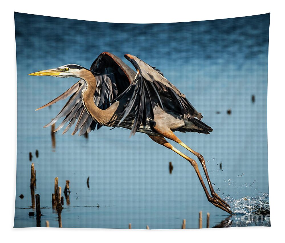 Heron Tapestry featuring the photograph Heron Take Off by Joann Long