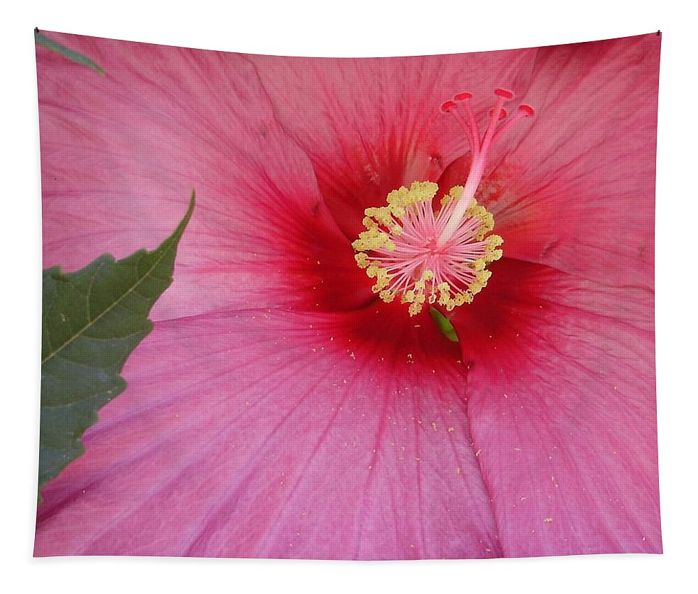 Hibiscus Tapestry featuring the photograph Hibiscus by Anjel B Hartwell
