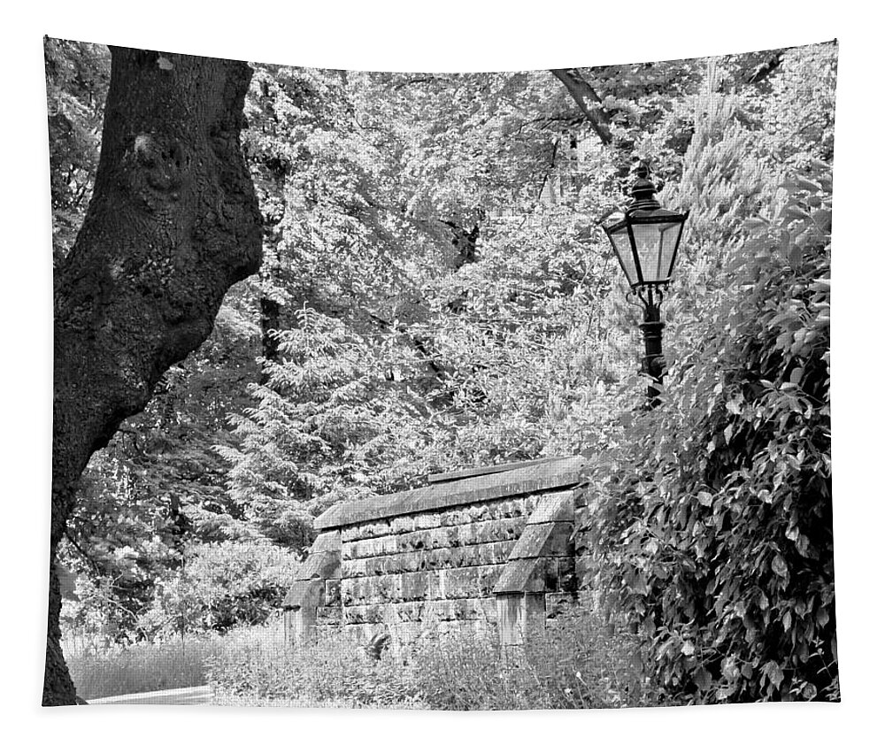 Lamppost Tapestry featuring the photograph Hiding in black and white. by Elena Perelman