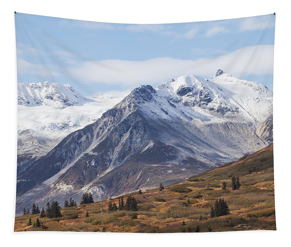British Columbia Tapestry featuring the photograph High Country in Fall by Michele Cornelius