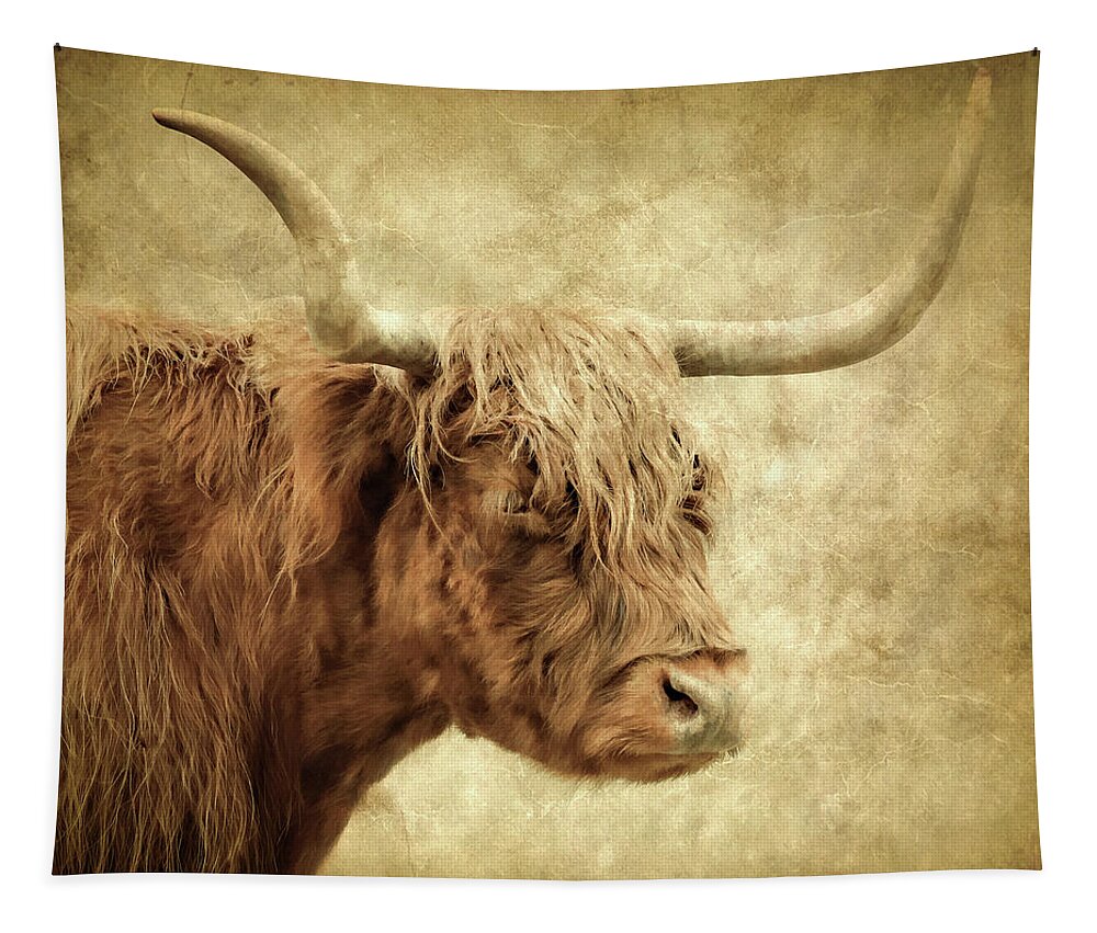 Highland Cow Tapestry featuring the photograph Highland Cow Paint by Athena Mckinzie