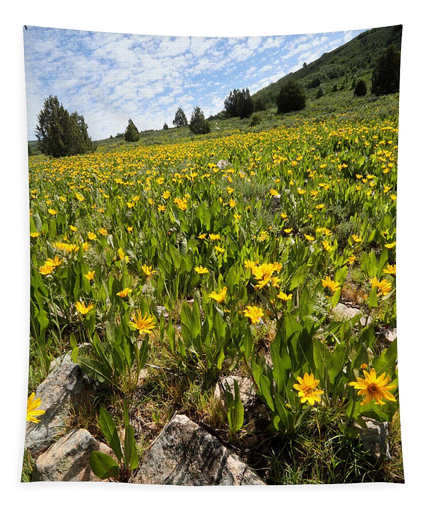 Flower Tapestry featuring the photograph Hills of Yellow Flowers by Brett Pelletier