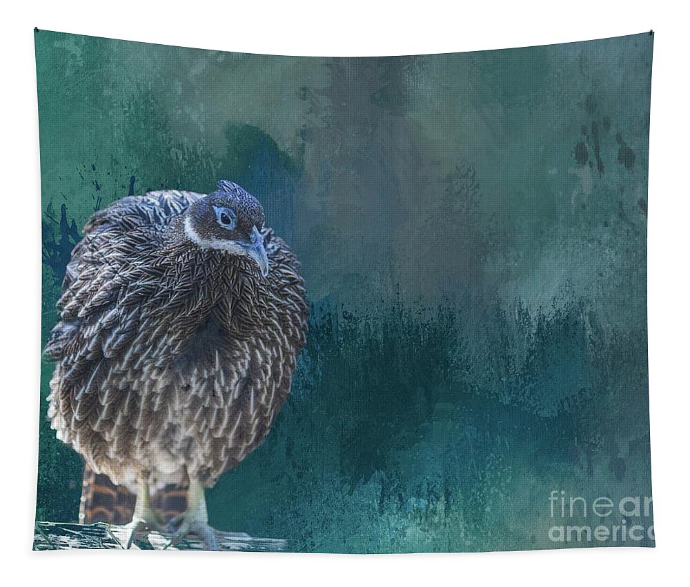 Pheasant Tapestry featuring the photograph Himalayan Monal by Eva Lechner